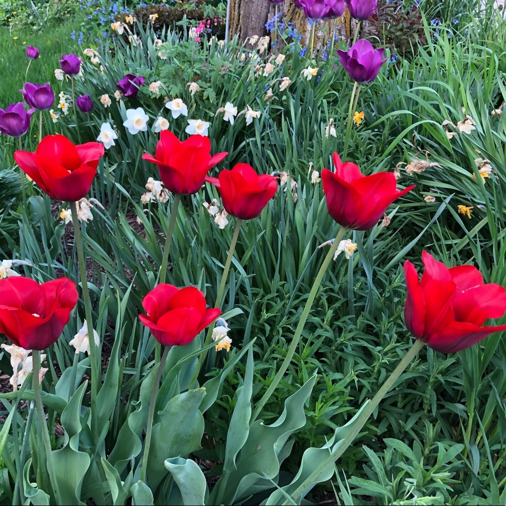 Meet your Posher, MJ